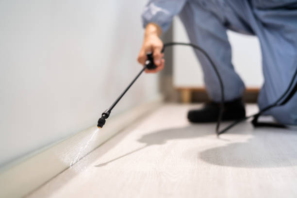 Licensed Mosquito Control service in Big Lake, WA - Show Me Pest Control