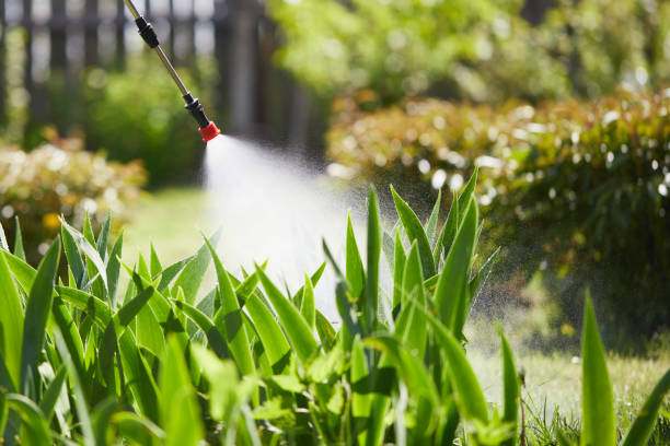 24/7 Emergency Mosquito Control experts in Big Lake, WA